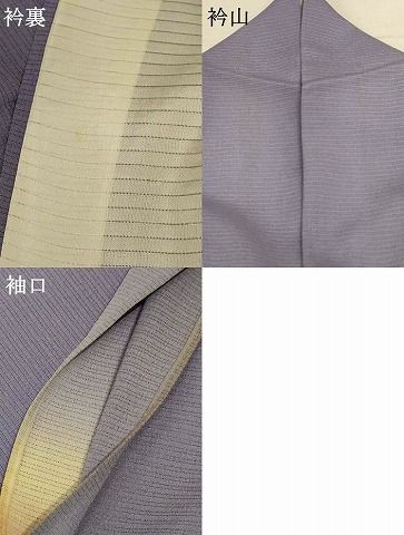  平和屋着物 夏物 訪問着 絽縮緬 風景文 暈し染め ロング丈 正絹 jd 訪問着 付け下げ 着物