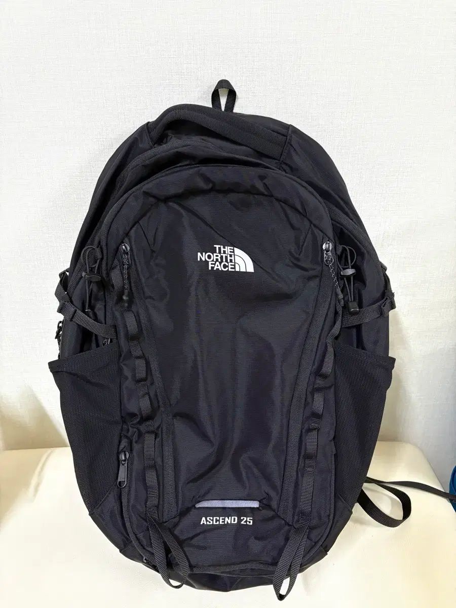 THE NORTH FACE ザノースフェイス アセント L Tシャツ 25