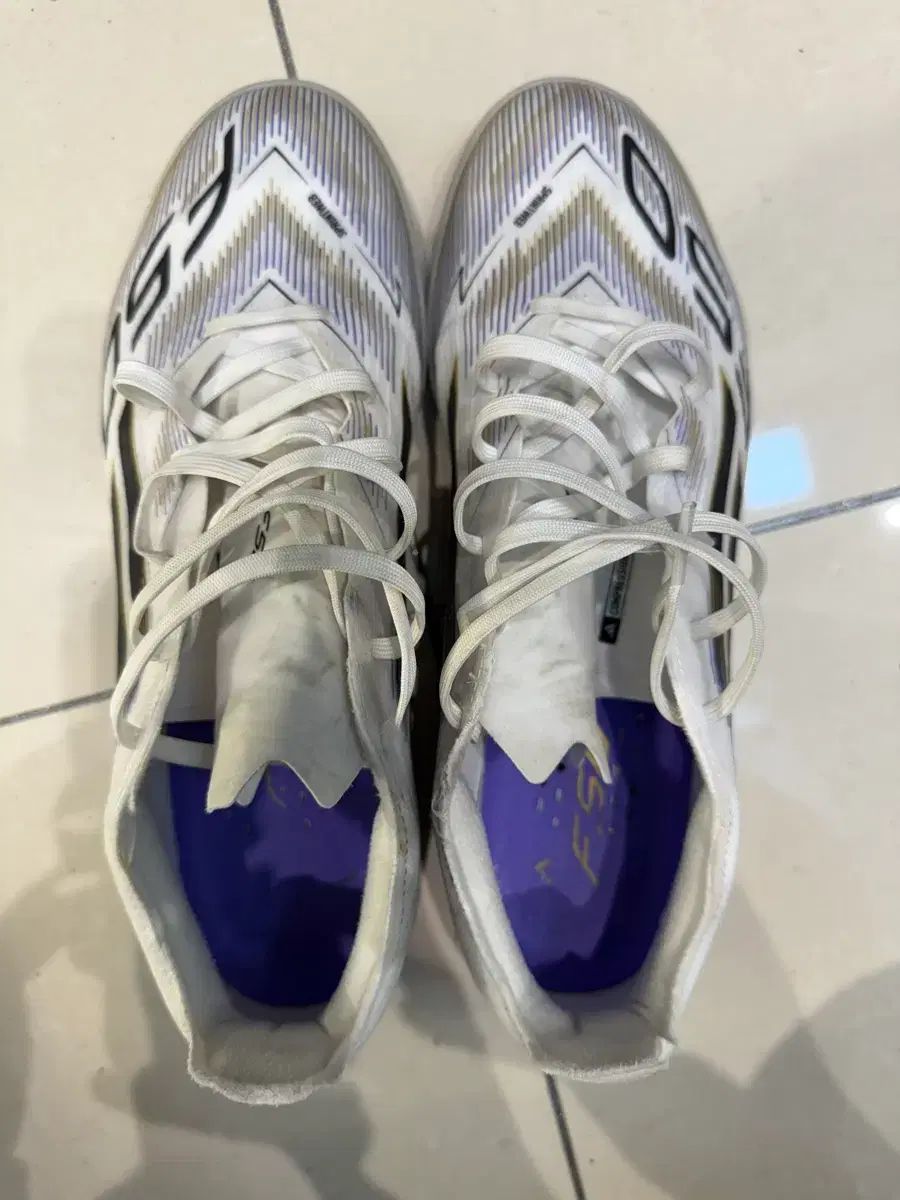 ショップ 筋膜系の機能解剖アトラス