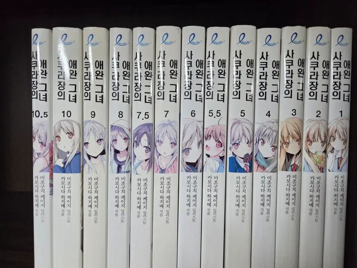 さくら荘のペットな彼女 ライトノベル 全巻