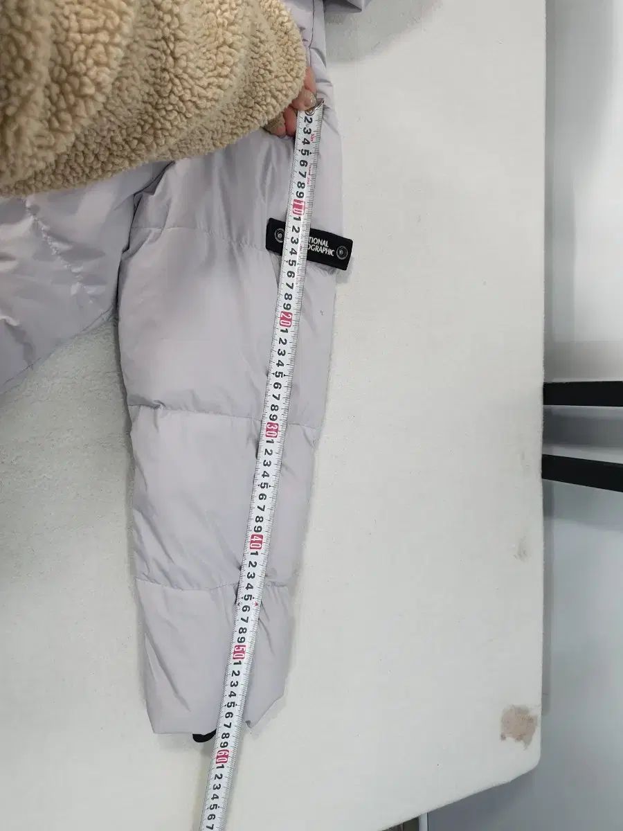 ナショナルジオグラフィック