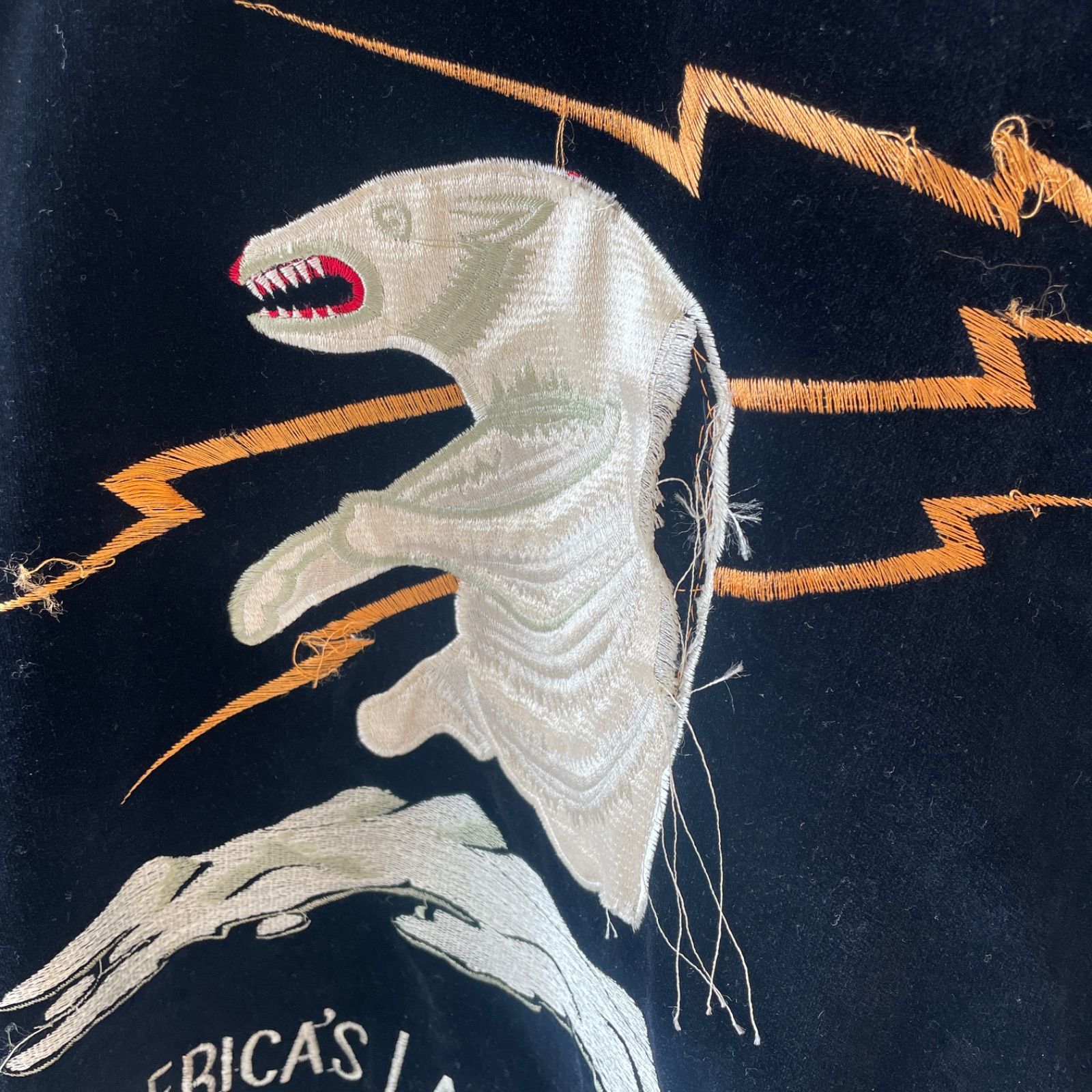 テーラー東洋 東洋エンタープライズ 虎 japan 犬ぞり シロクマ