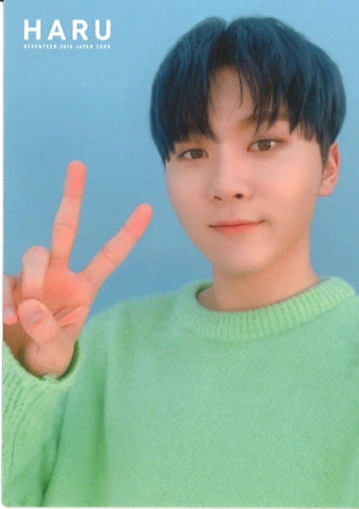 SEVENTEEN 2019 HARU SEUNGKWAN トレーディングカード 0073 - メルカリ