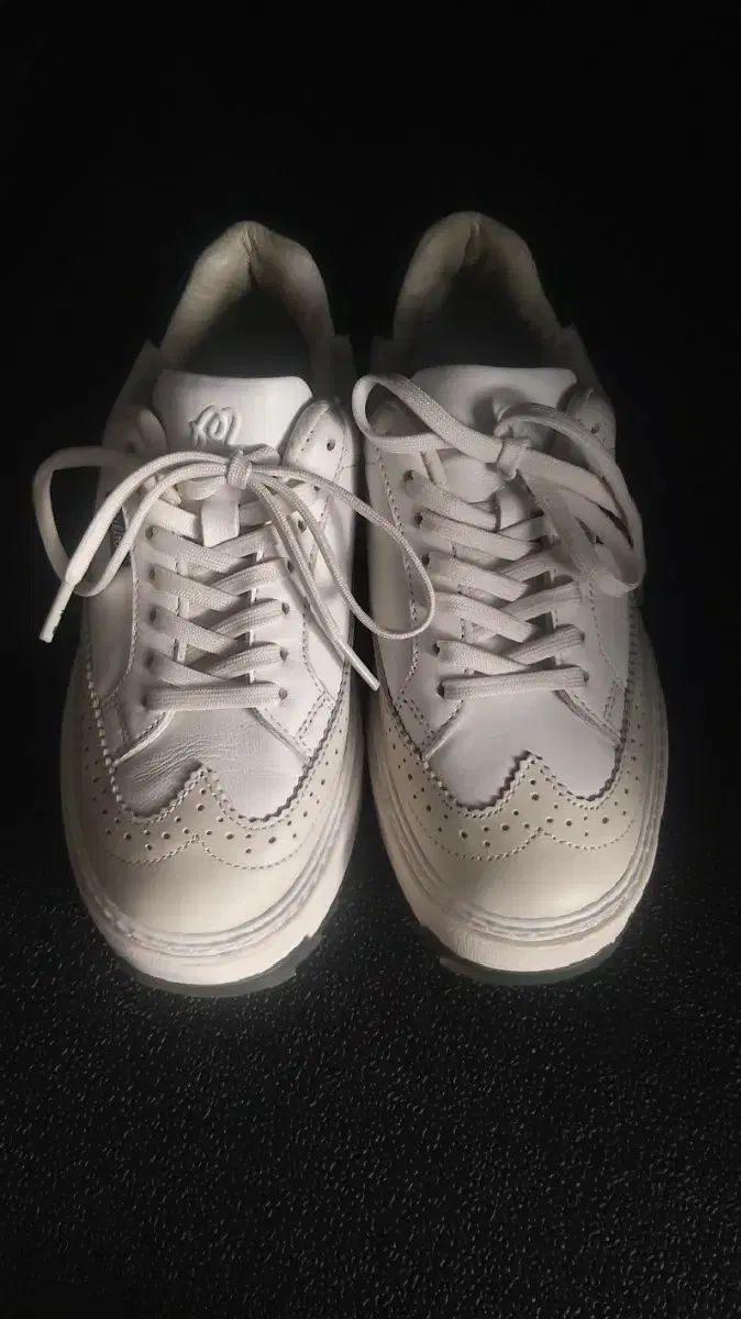 マルボンゴルフ レディースゴルフシューズ 230 mm