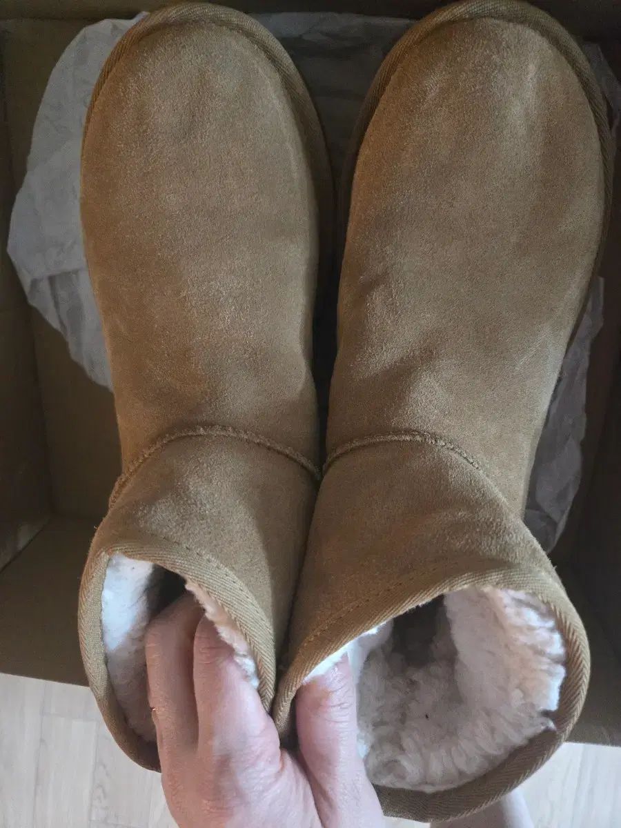 UGG アグ ブーツ 250 8 サイズ