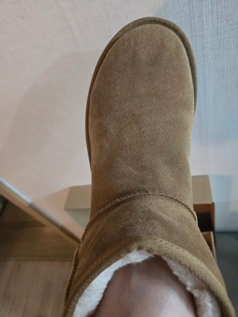UGG アグ ブーツ 250 8 サイズ