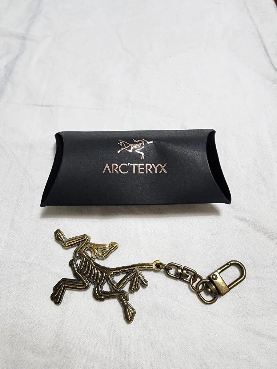 ARC'TERYX アークテリクス ケース + キーホルダー セット ゴールド