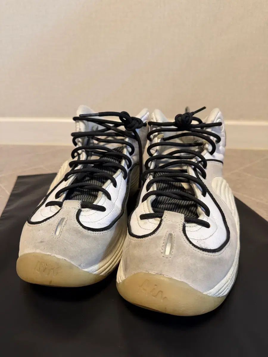 ナイキ エア ペニー2 フォトン ダスト 290