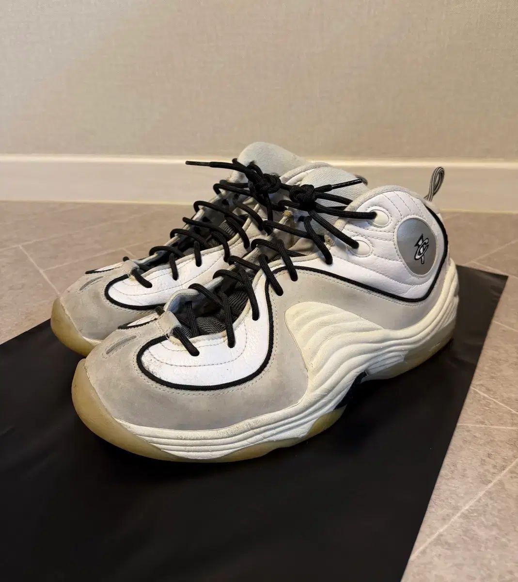 ナイキ エア ペニー2 フォトン ダスト 290