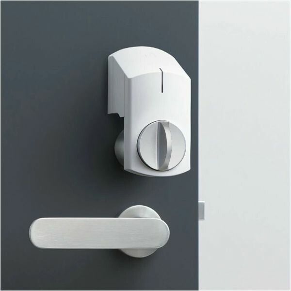 MTG フェイタリズム 秘儀の否定foil 【4枚セット】 卸売 プロモ未開封