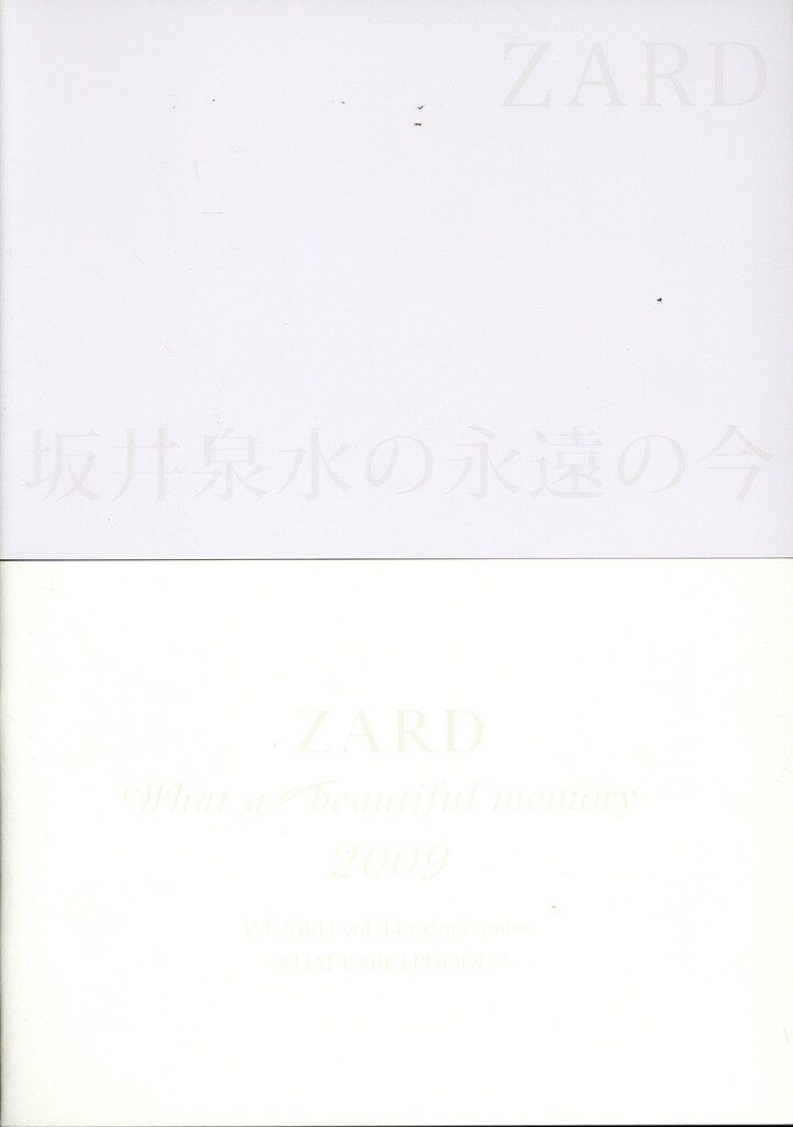 Being パンフレット ZARD 坂井泉水の永遠の今 ZARD展 - メルカリ