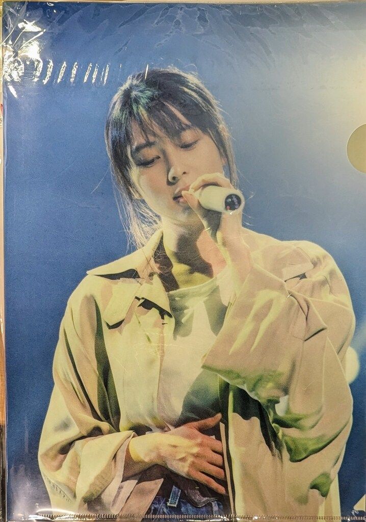 ZARD ZARD 20th YEAR展 クリアファイル2種 - メルカリ