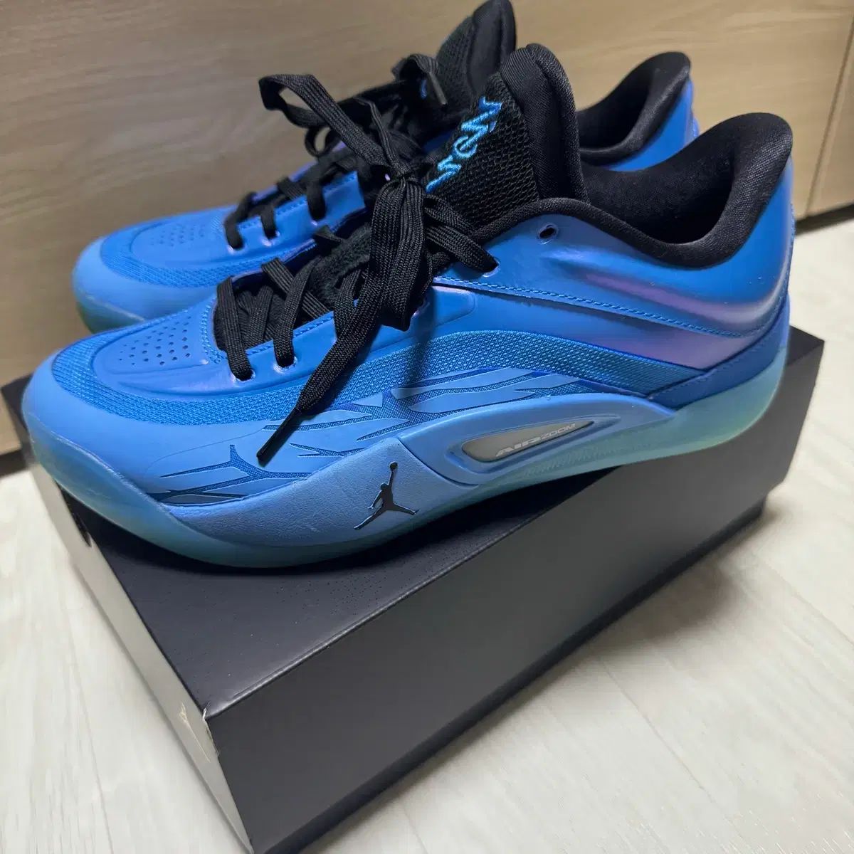 270 NIKE ジョーダン ザイオン 4 PF イリデセンス