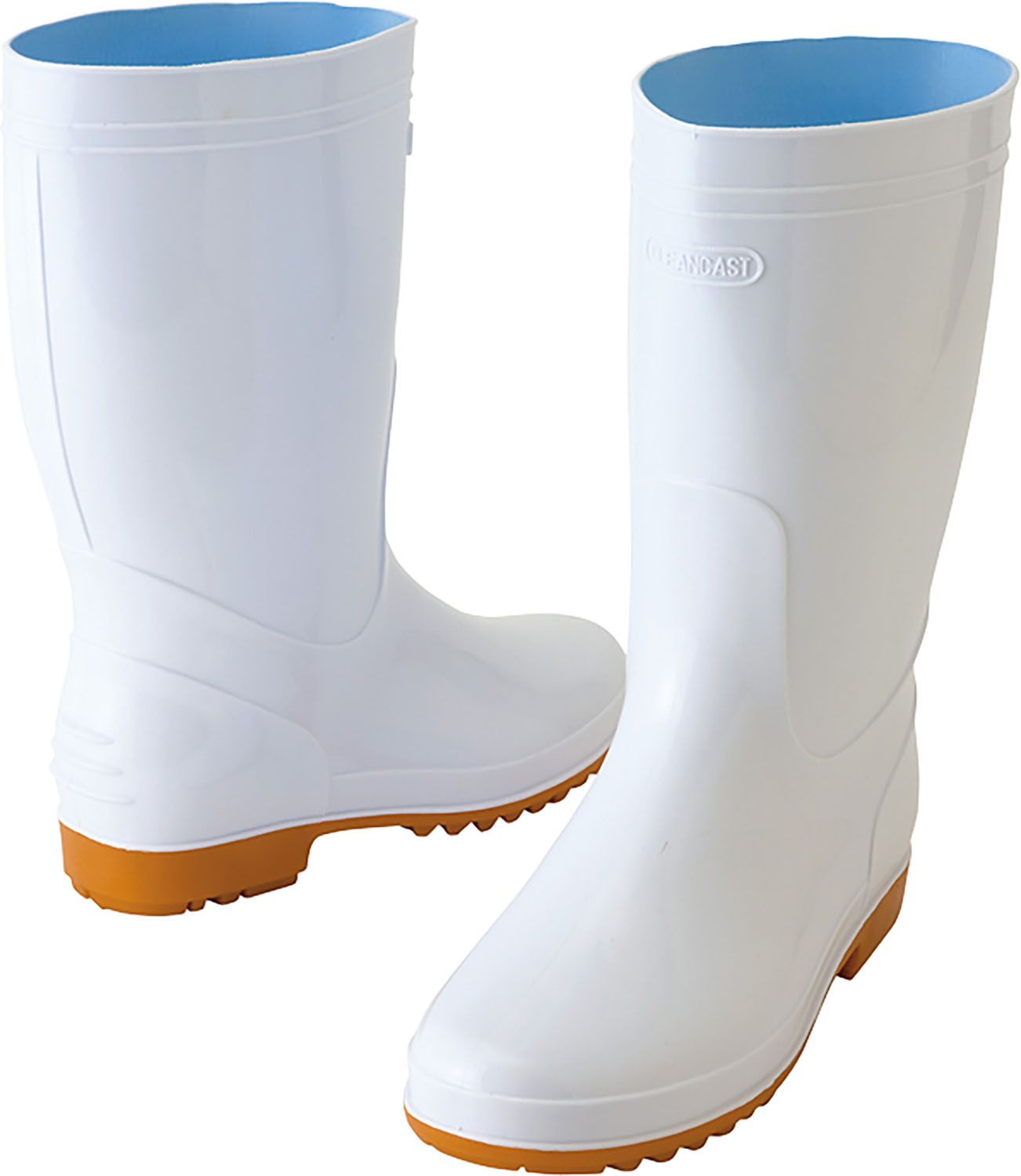 掛け軸2本 セール 国井幸雪作 双福 金地 恵比須大黒図、遠藤恵三作 柿図