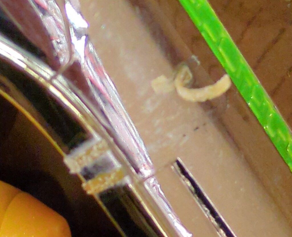 DXウェブナイト