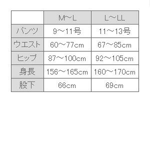 メール便配送 L-LL MIKYAKU 加圧骨盤タイツ もも 太もも やお腹をしっかりサポートする美脚タイツ 着圧タイツ 段階着圧 加圧 の効果で タイツ 光電子繊維を使った機能タイツ 骨盤タイツ