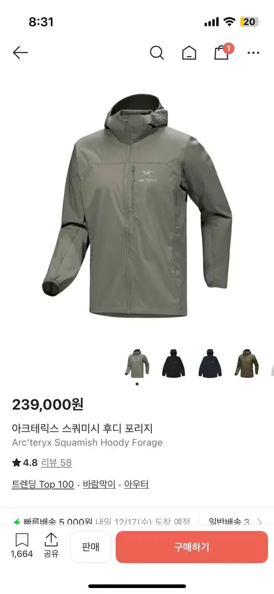 アークテリクス スコーミッシュ フーディ ポリッジ