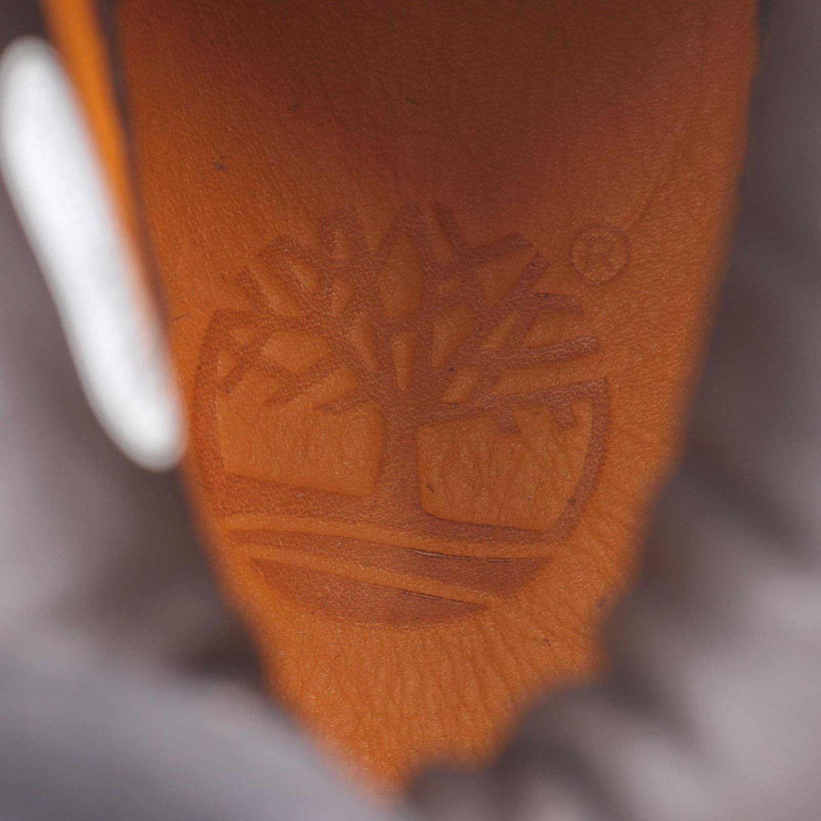 ティンバーランド