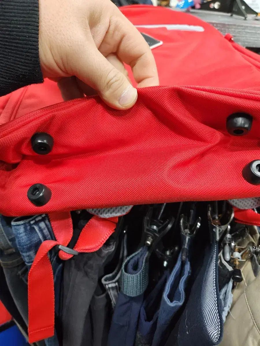 ブルードッグ レッド