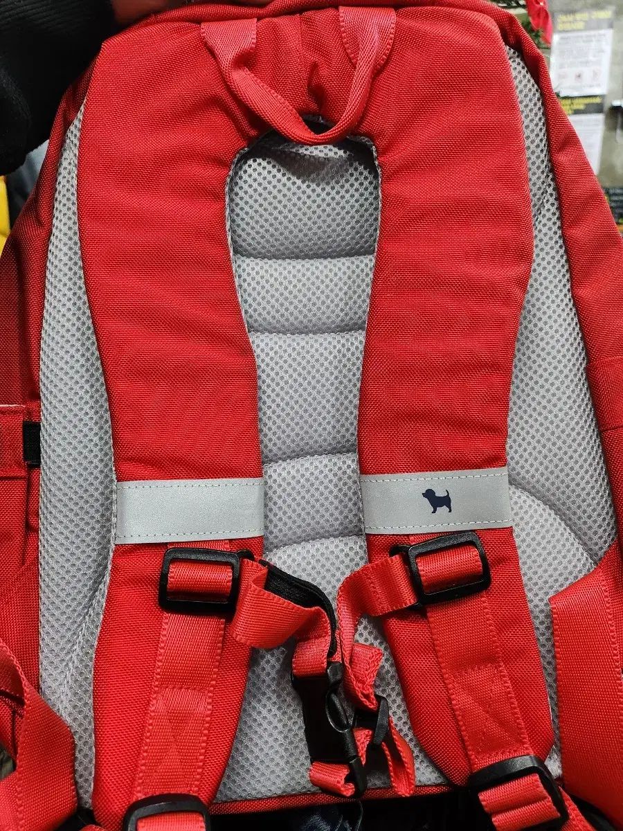 ブルードッグ レッド