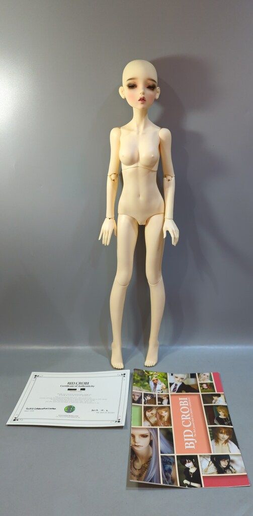 CROBI DOLL M Line Girl Soi Day Dream Collaboration Limited