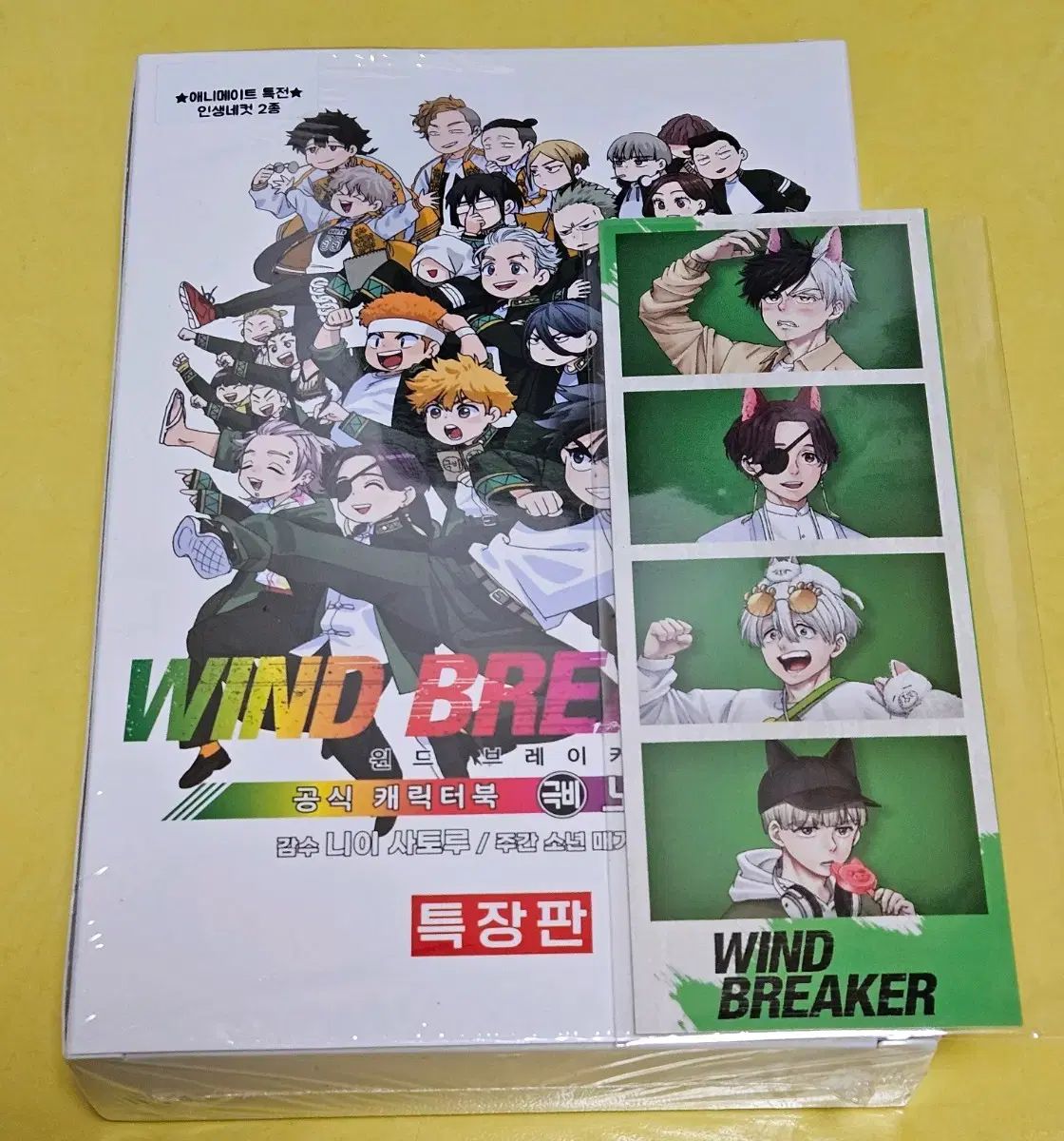 ウィンドブレーカー キャラクターBOOK 特装版 アニメイト 特典