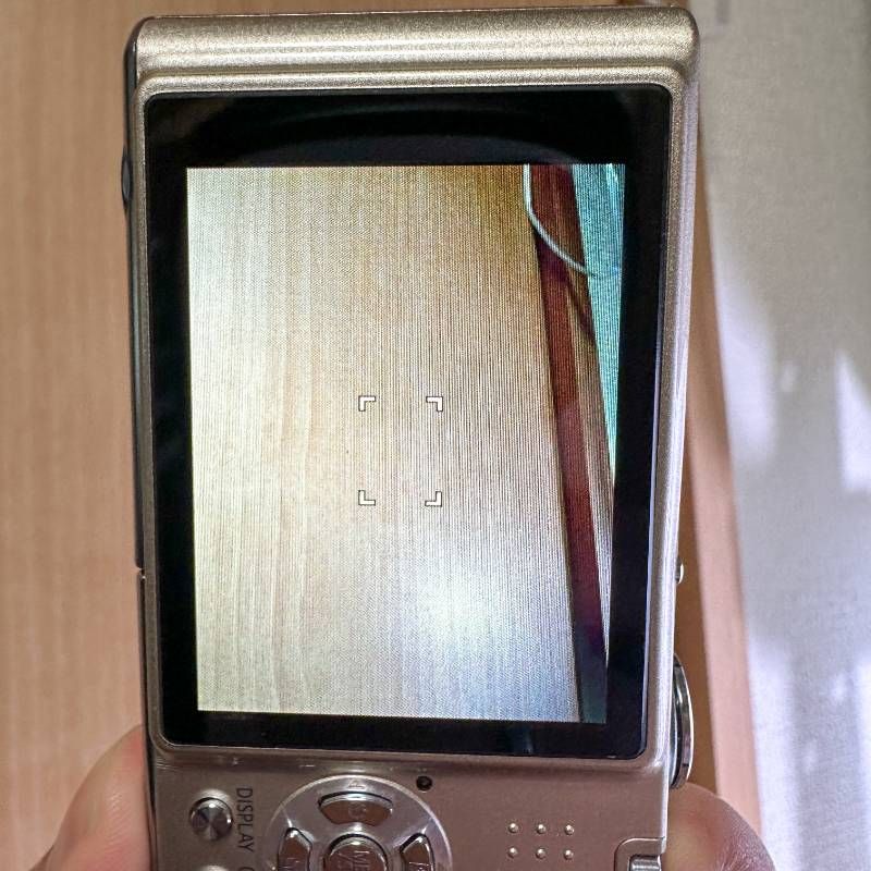 Panasonic 最高 LUMIX DMC-FX35 ゴールド 1010万画素 25mm広角 LEICA