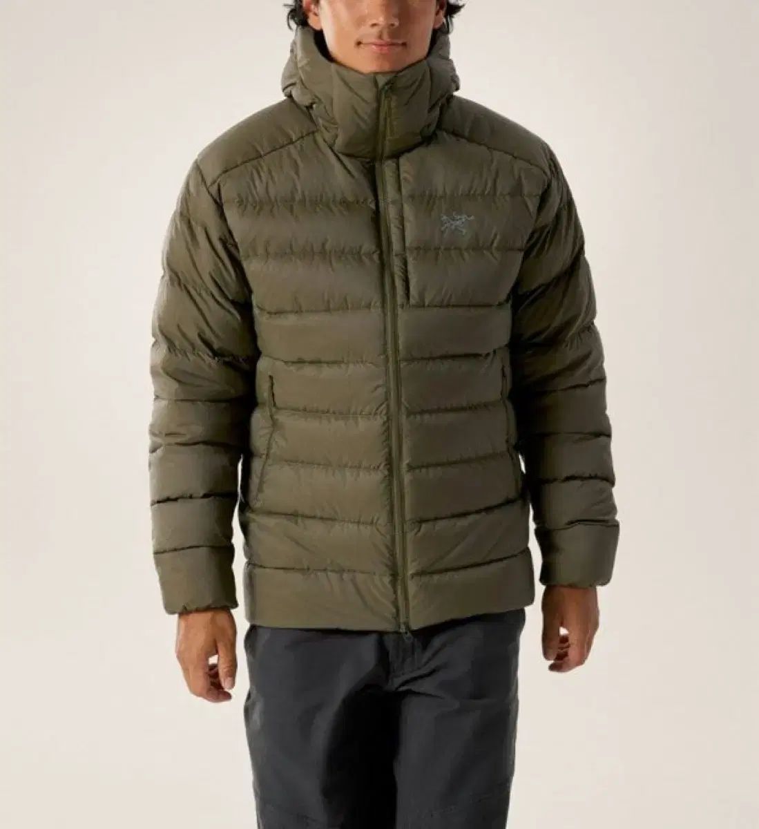 L アークテリクス トーラム タッツ