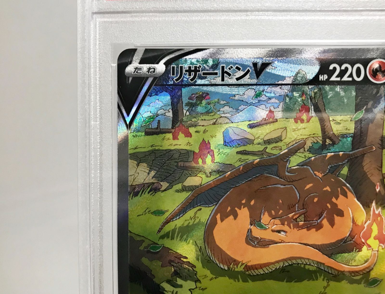 29.【鑑定品】リザードンV S12a 211/172 SAR ポケモンカードゲーム