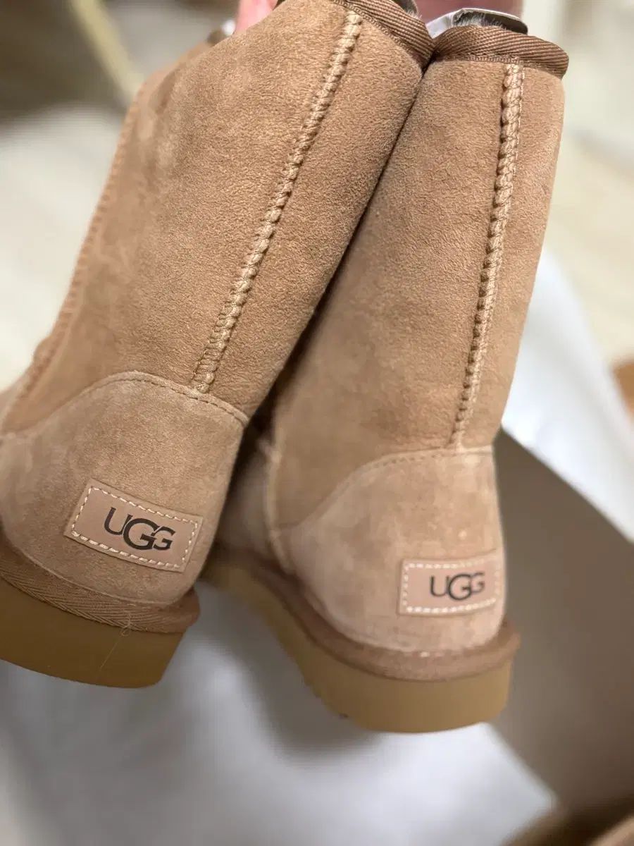  アメリカ UGG アグ ミドルブーツ 250 その他 ブーツ