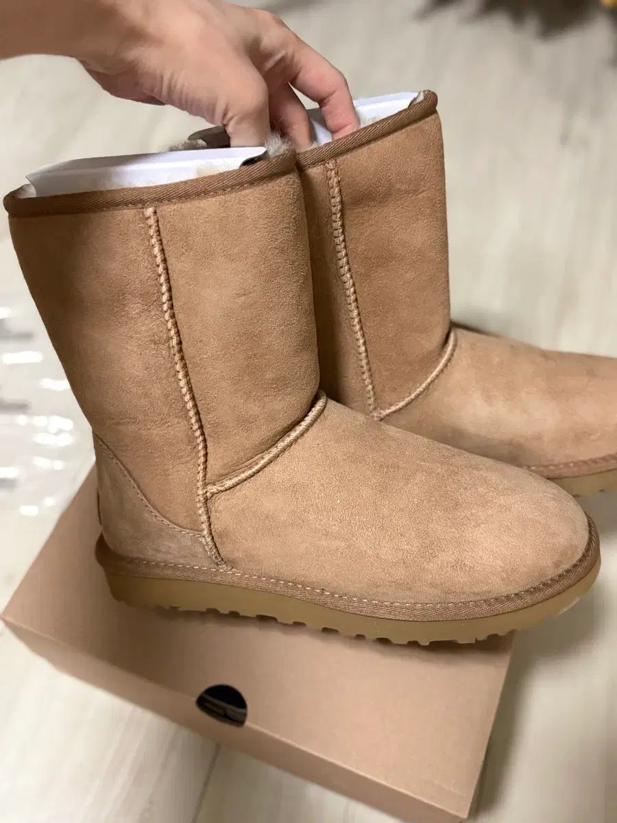 アメリカ UGG アグ ミドルブーツ 250