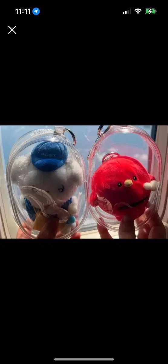 ビョンウソク Byeon Wooseok グッズ ぬいぐるみセット