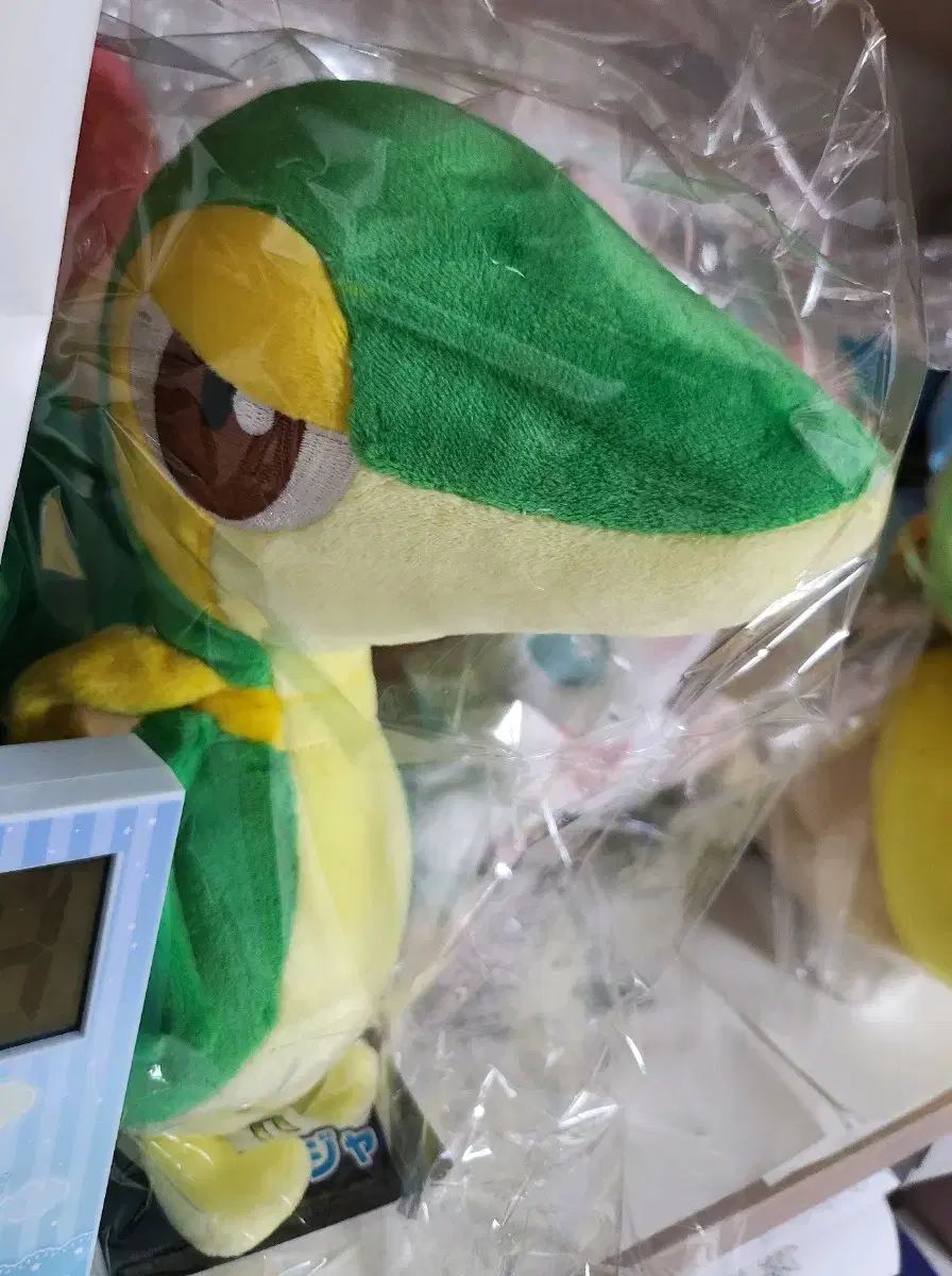 日本ポケモンセンター ヌイグルミ ジュカイン オリジナル ぬいぐるみ