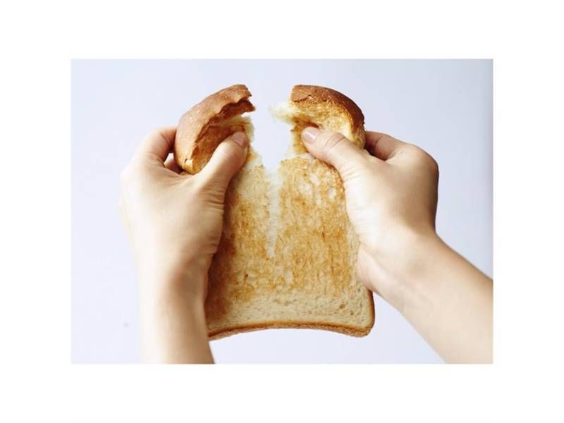  Aladdin アラジン グラファイトトースター SAKURA ピンク AET GS 13 B 焼き トースター 電子レンジ オーブン