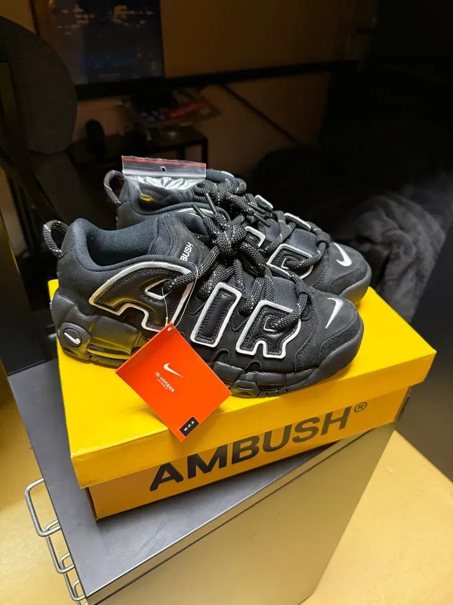 アンブッシュ アップテンポ ロー 255