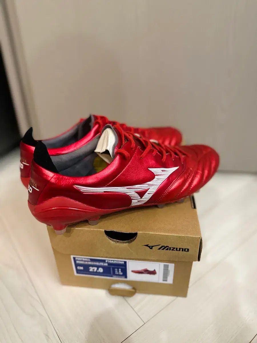 mizuno