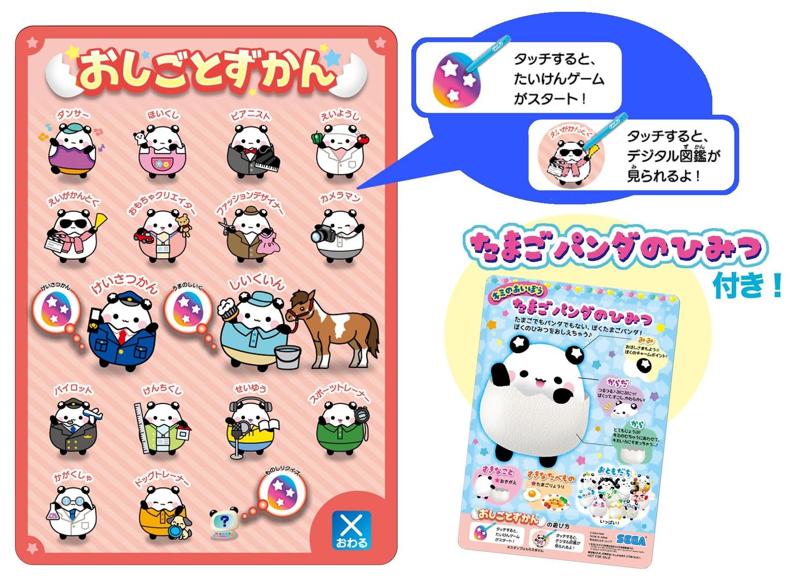 イーピコ たいけん100エディション