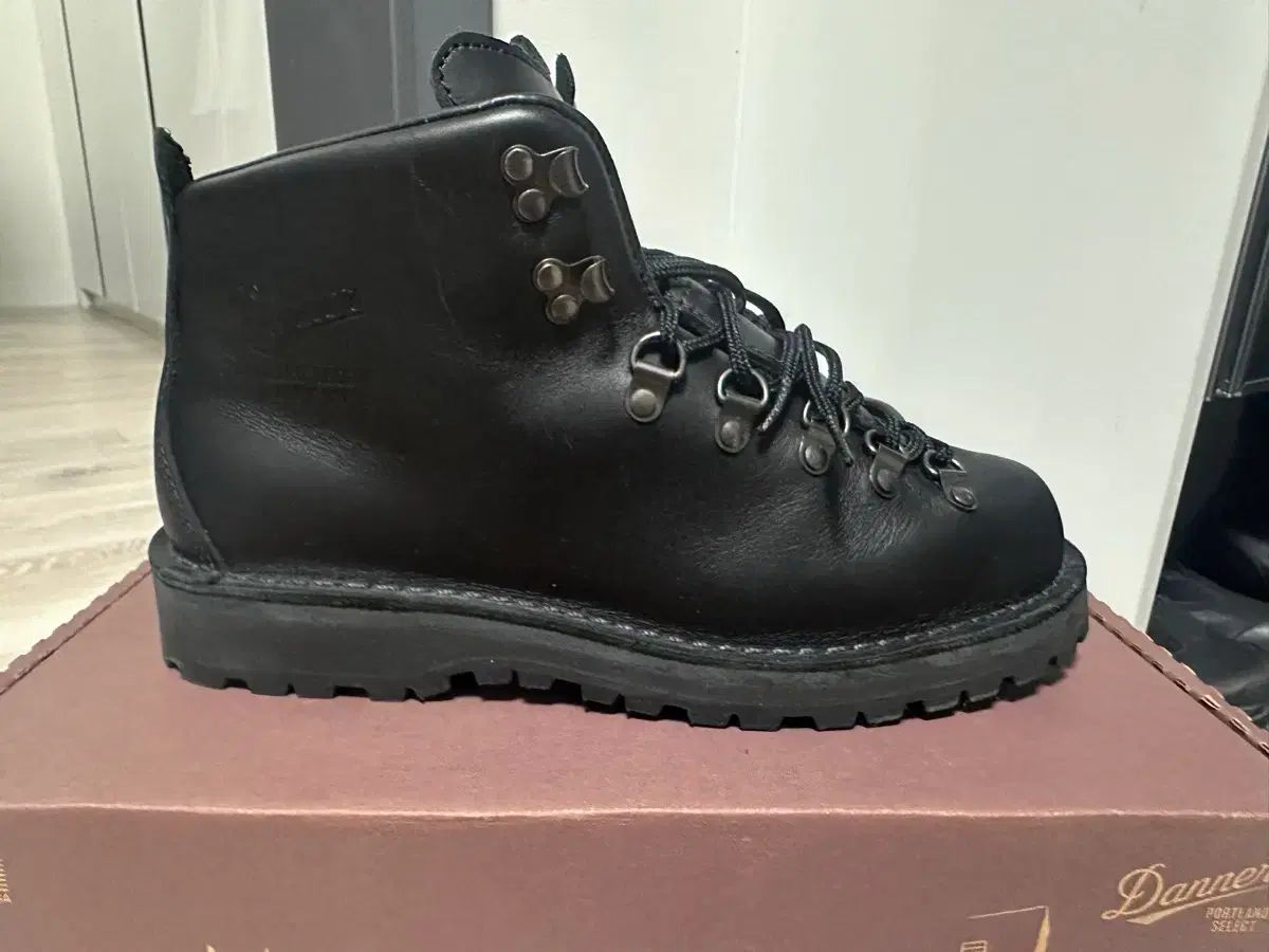 マウンテン ライト