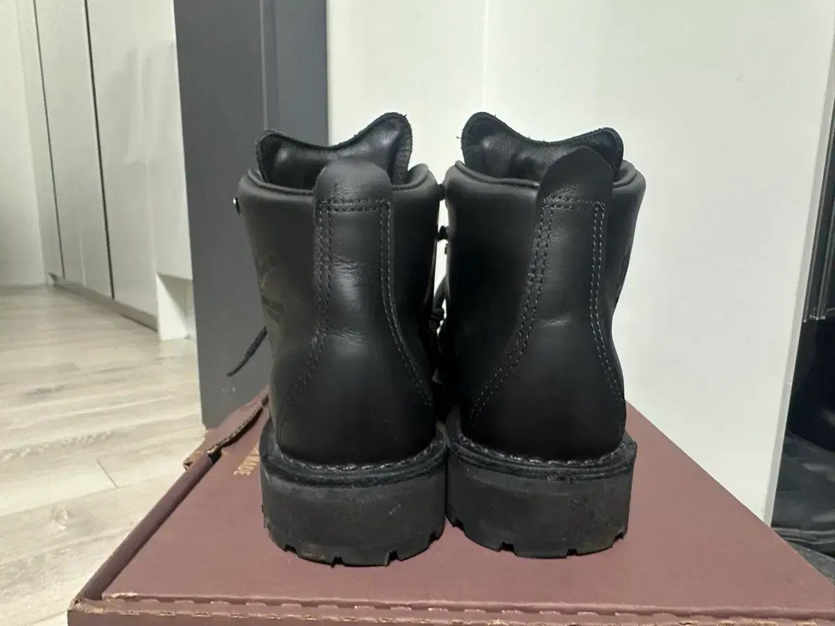 マウンテン ライト