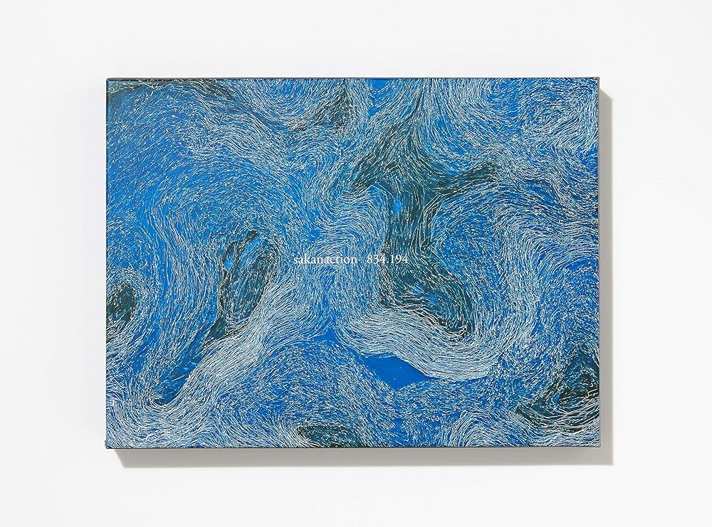 834.194 完全生産 盤B 2 CD DVD 豪華特殊パッケージ 応募抽選ハガキなし サカナクション