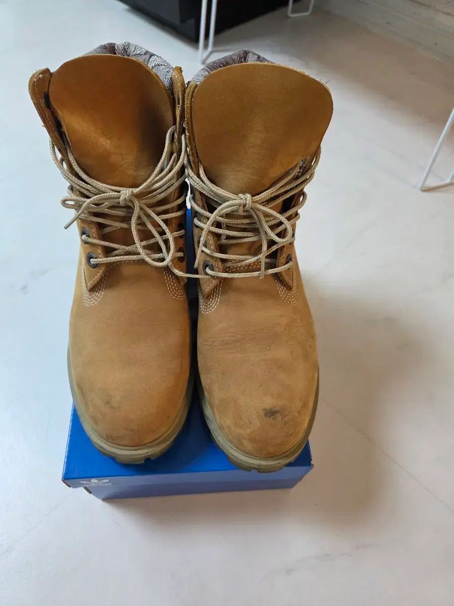 ティンバーランド アイコン 6インチ ウォーカー A 1 GDZ