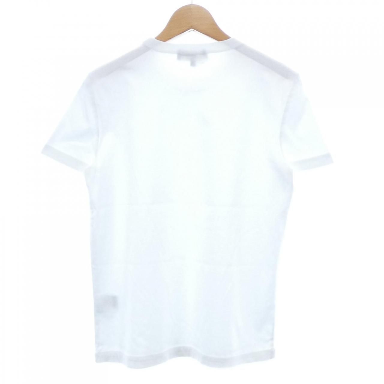 ロロピアーナ Loro Piana FAI 5069 Tシャツ