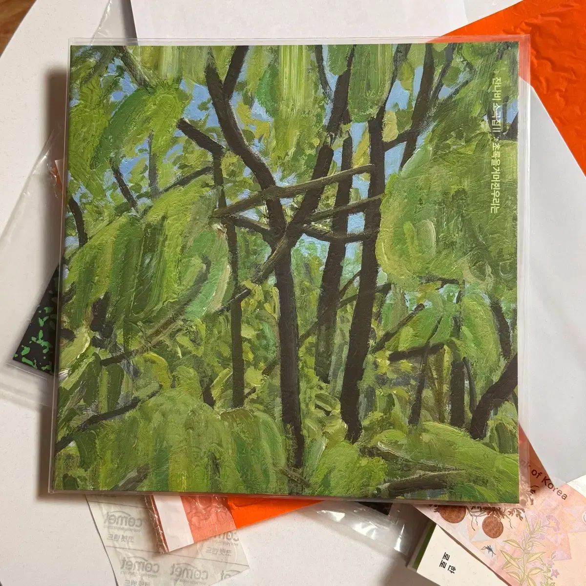 オープンエディション JANNABI ソングブック 2 オリーブ グリーン LP