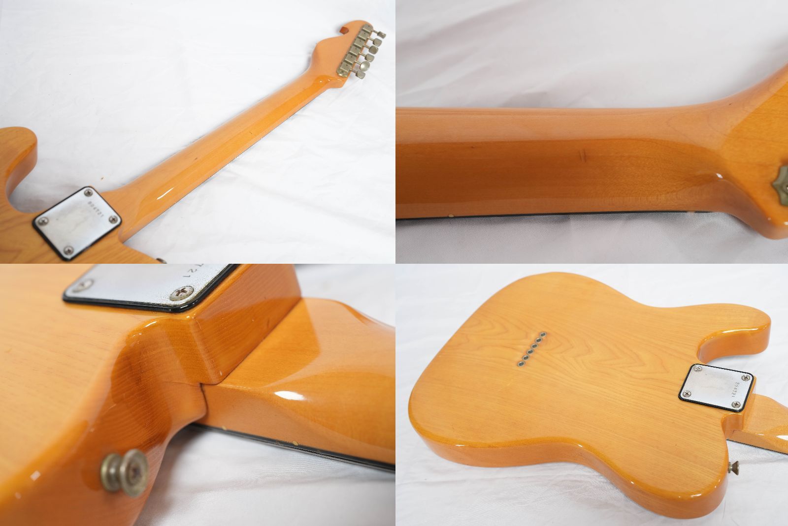 ロイブキャナンモデル モデル