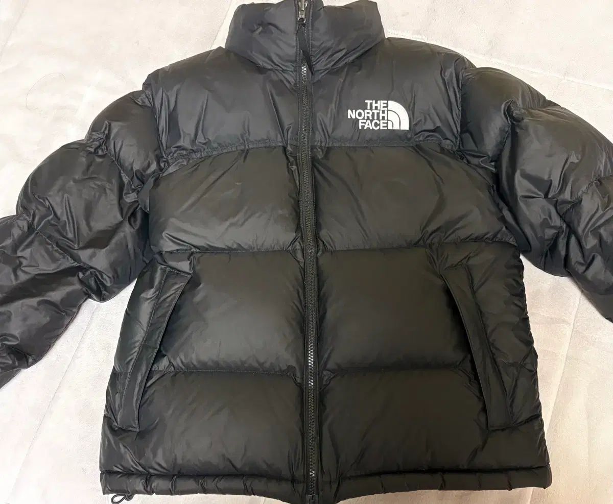 THE NORTH FACE 1996 エコー ヌプシ ダウン ブラック s
