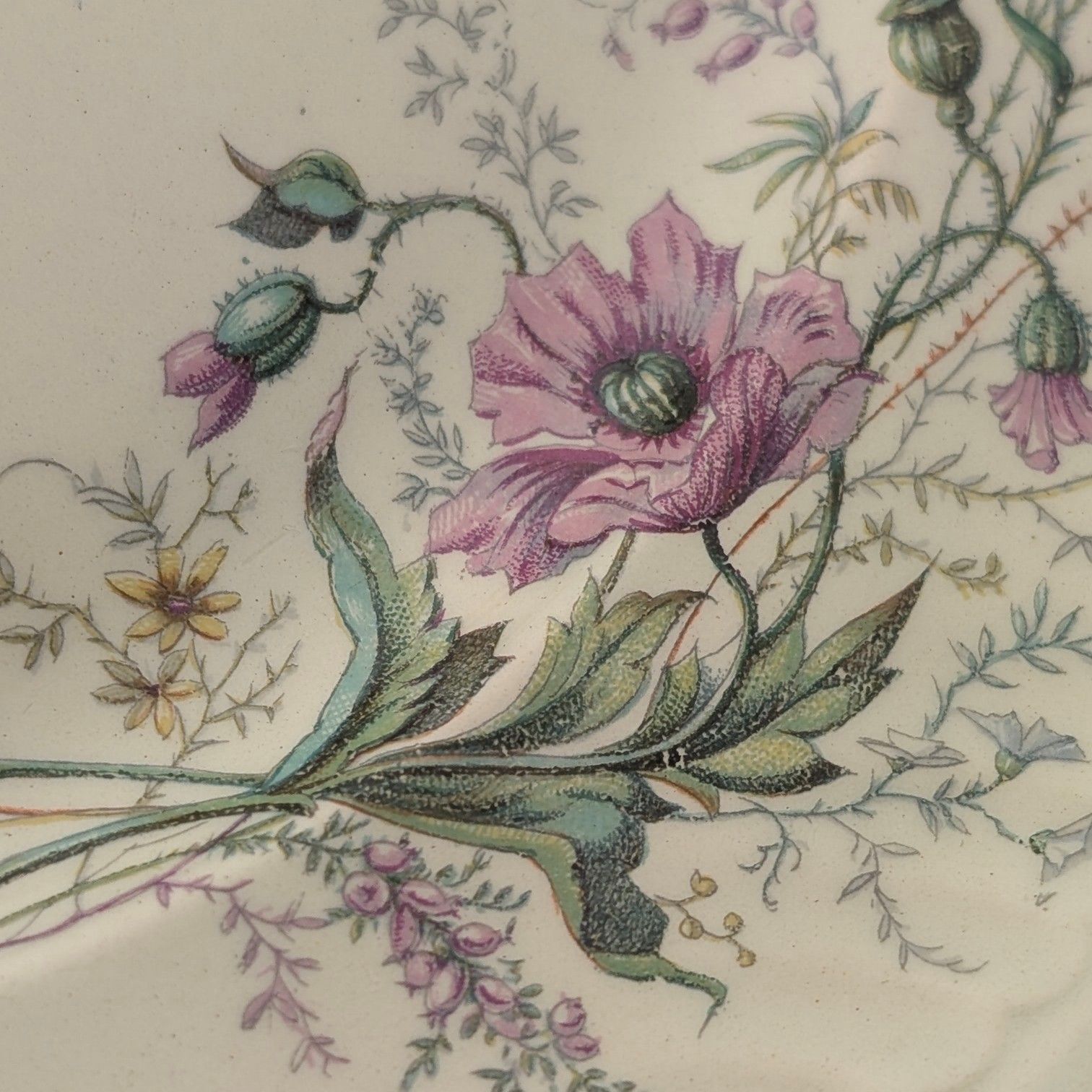 フレンチアンティーク ジャポニズムデザイン 硬質陶器製 ディナープレートペア