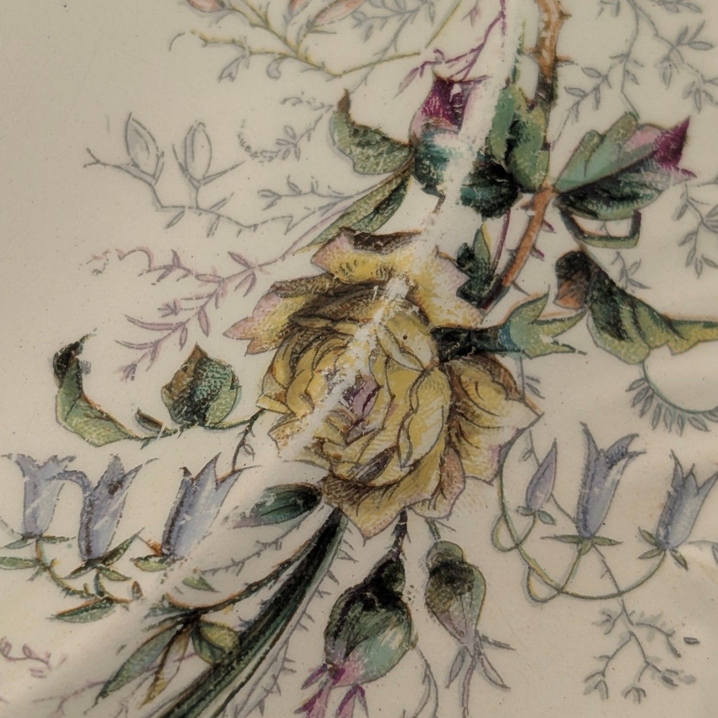 フレンチアンティーク ジャポニズムデザイン 硬質陶器製 スーププレートペア