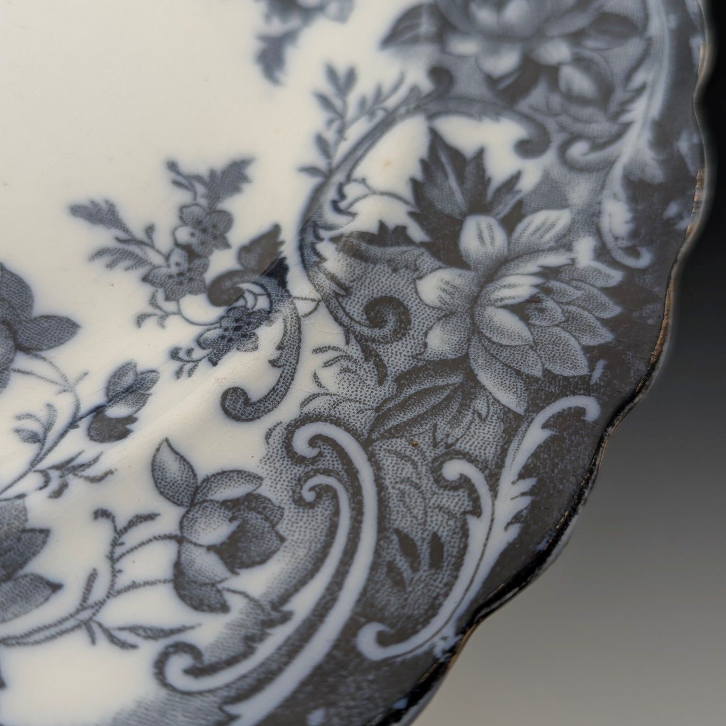 英国アンティーク バーリントンパターン 半磁器製 ディナープレートペア Wedgwood Co