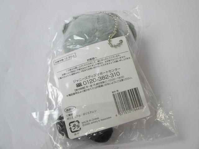 Snow Man 岩本照 1 st DOME tour 2025 i DO ME すのチルぶら下がりシリーズ ぬいぐるみ