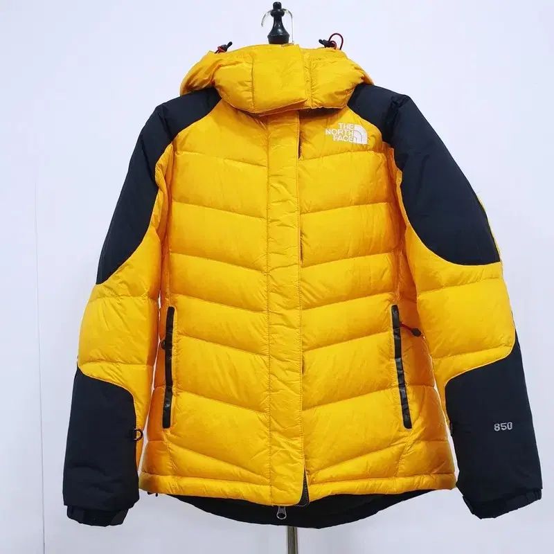 THE 公式 NORTH FACE ザノースフェイス レディース サミット 850フィル